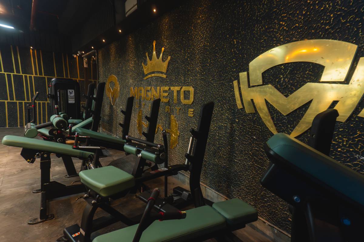 Premium Plate-Loaded Strength Machines